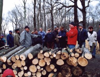 Bei der 1. Holzauktion in Ltzschena 2000