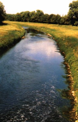 Die Luppe in Ltzschena im Sommer