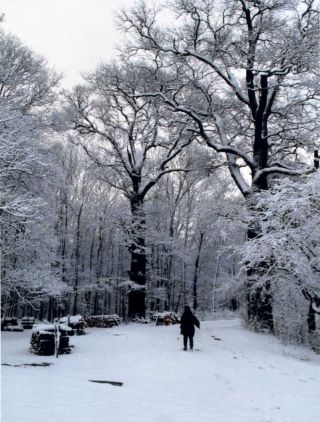 Bild 1 - Eingang zum Schlopark