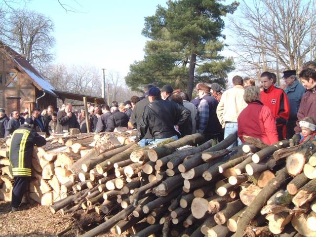 Bei der Holzauktion