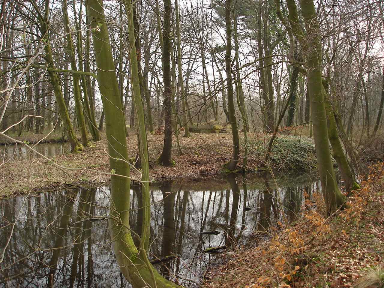 Die Badeinsel